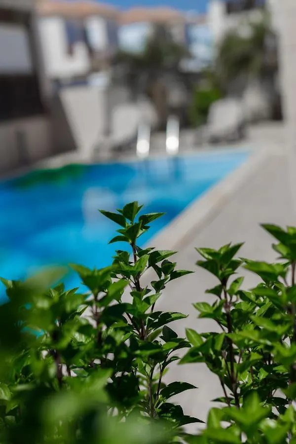 Luxury Villa Ayia Napa Chipre