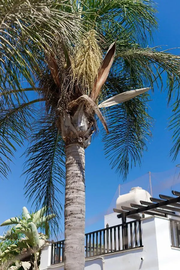 Luxury Villa Agia Napa